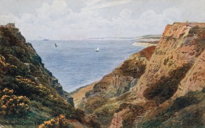 Blackgang Chine, Isle of Wight von Alfred Robert Quinton